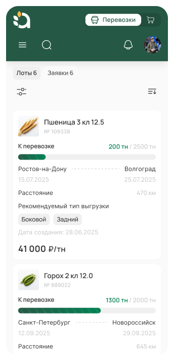 Перевозчик выбирает лот